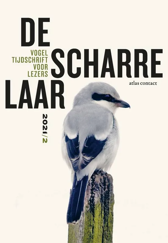 Actieprijs De scharrelaar 2021/2 / Druk 1