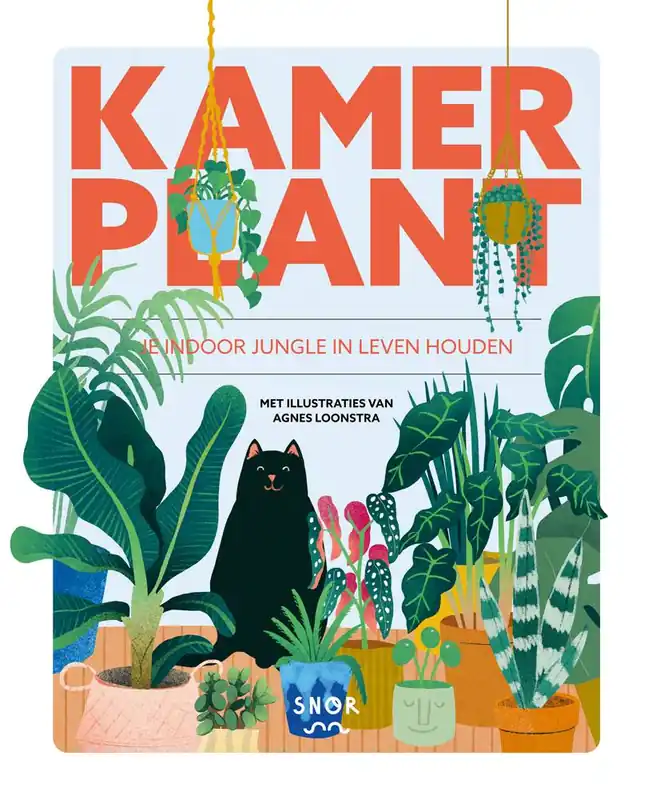 Kamerplant / Druk 1 Gereduceerde Prijs