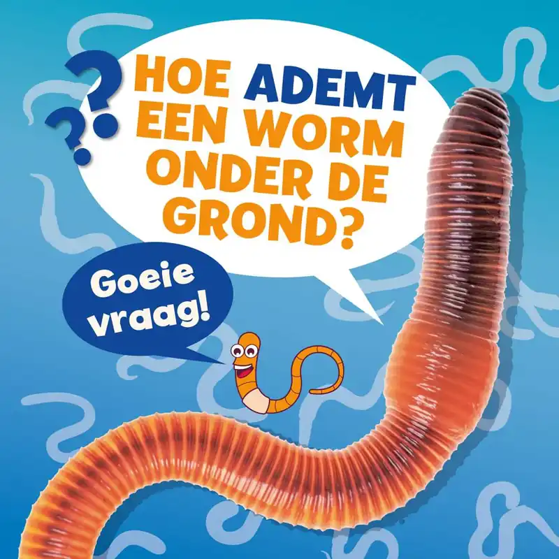 Hoe ademt een worm onder de grond? / Druk 1 Alleen Vandaag
