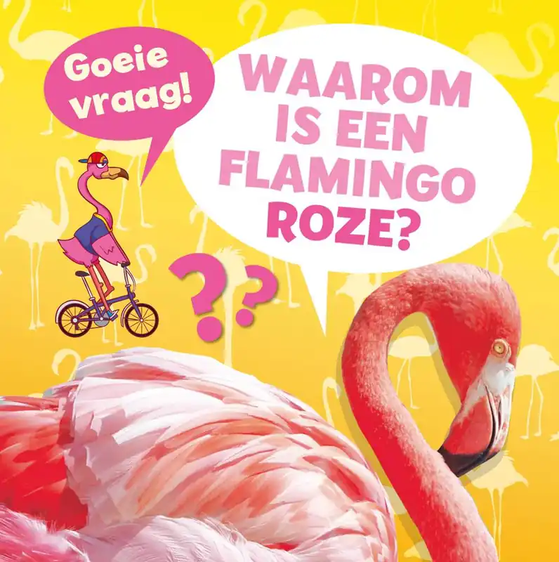 Waarom is een flamingo roze? / Druk 1 Gratis Verzending