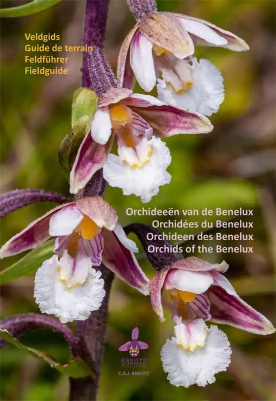 Rechtstreeks Van De Fabrikant Orchideeën van de Benelux / Druk 1