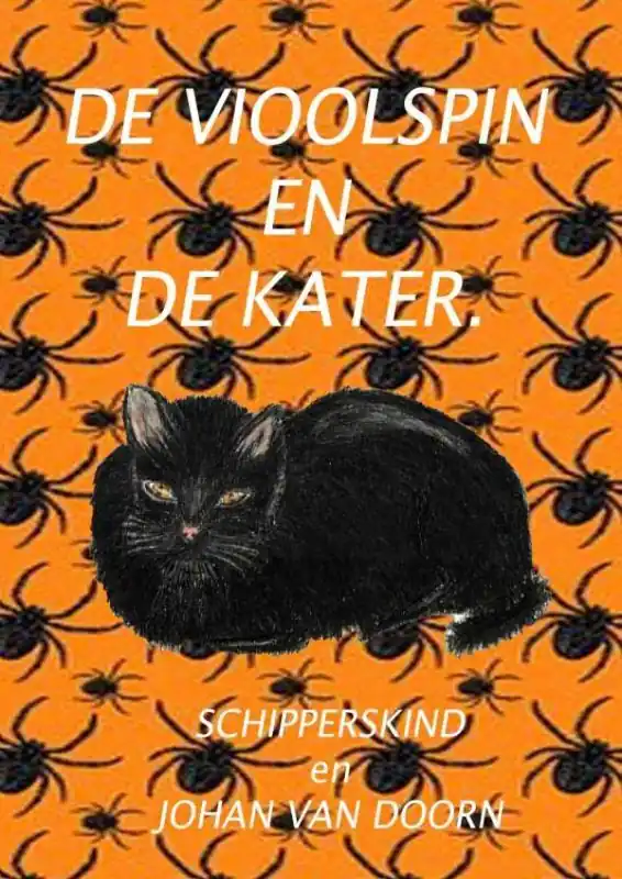 De vioolspin en de kater. / Druk 1 Alleen Vandaag